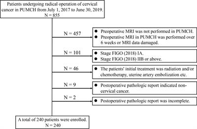 Tumor Volume Predicts High-Risk Patients and Guides Initial Chemoradiotherapy for Early Cervical Cancer